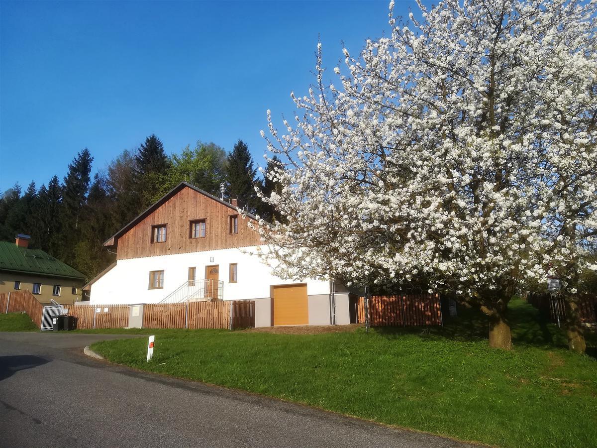 Апартаменти Haus Tolstejn Jiretin pod Jedlovou Екстер'єр фото
